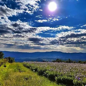  Appartamento Casa Chianti